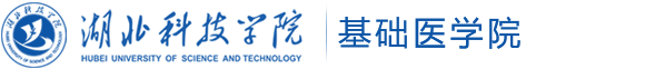 bat365在线官网登录
